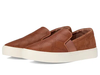Birdies The Swift Sneaker In Brown
