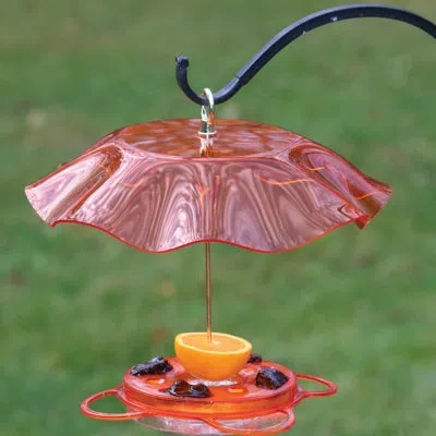 Birds Choice 12 Oz. Oriole-fest Feeder With Weatherguard, Orange