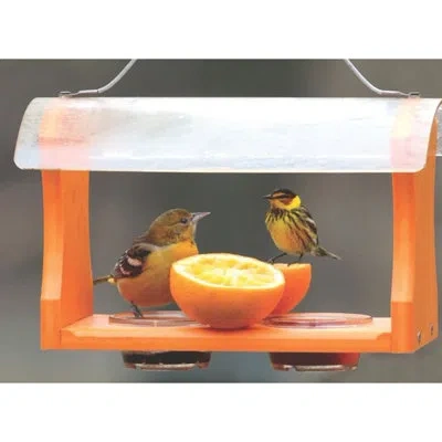 Birds Choice 2-cup Nectar And Jelly Oriole Feeder, Orange