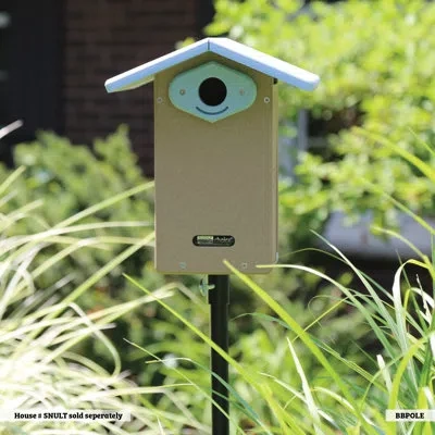 Birds Choice 54" Bluebird Bird House Pole Set, Black