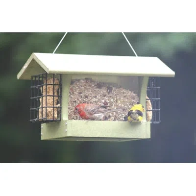 Birds Choice Medium Hopper Bird Feeder With Suet Cages In Green Recycled Plastic