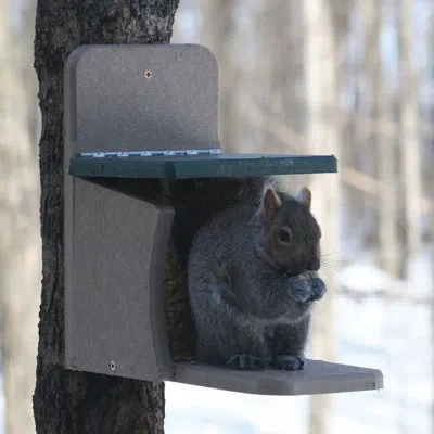 Birds Choice Recycled Munch Box Squirrel Feeder