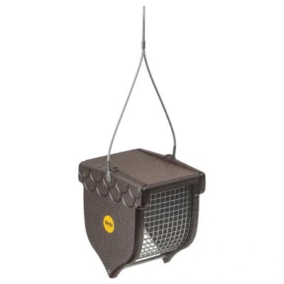 Birds Choice Recycled Peanut Decorative Suet Bird Feeder In Brown