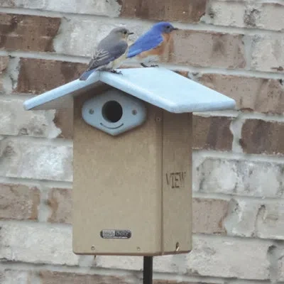 Birds Choice Recycled Ultimate 13 In X 9 In X 11 In Birdhouse