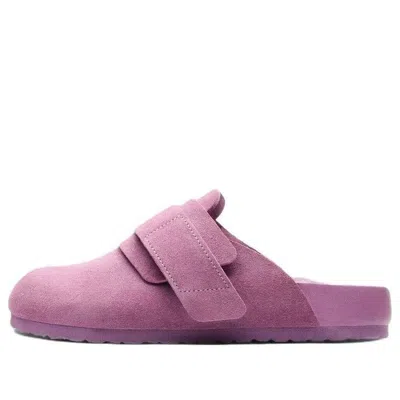 Birkenstock 1774 Nagoya Suede Tekla 'mauve' In Purple