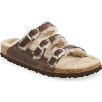Birkenstock Arizona Genuine Shearling Lined Slide Sandal In Brown