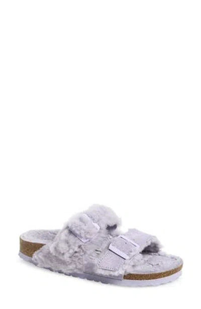 Birkenstock Arizona Genuine Teddy Shearling Lined Slide Sandal In Purple