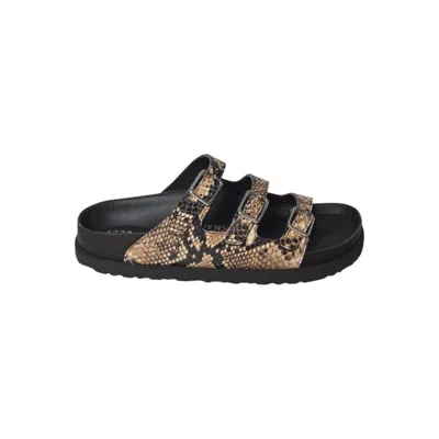Birkenstock Florida Sandals In Python Leather Beige 1774 In Brown
