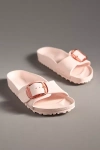 Birkenstock Madrid Big Buckle Eva Slide Sandal In Pink