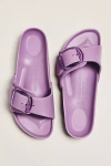 Birkenstock Madrid Big Buckle Eva Sandals In Purple