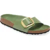 Birkenstock Madrid Big Buckle Slide Sandal In Green Tea