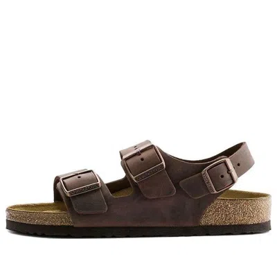 Birkenstock Milano Oiled Leather Narrow Fit 'habana' In Brown
