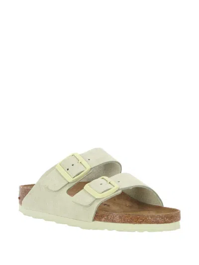 Birkenstock Arizona Buckle-fastened Sandals In Green