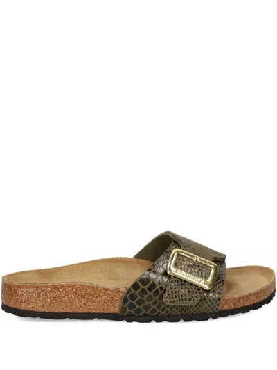 Birkenstock Snakeskin Buckle Sandals In Green
