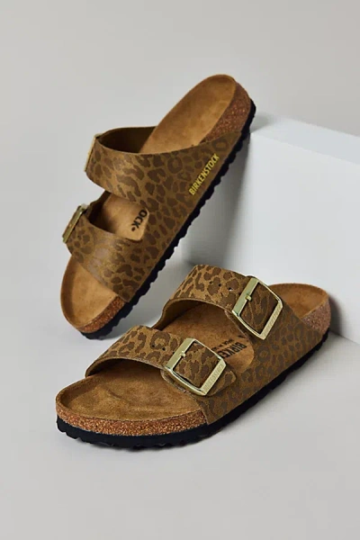 Birkenstock Women's Arizona Synthetics Leopard Print Sandal In Leo Khaki, Women's At Urban Outfitters In Brown