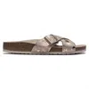 Birkenstock Women's Siena Big Buckle Suede In Rose In Multi