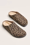 Birkenstock Zermatt Genuine Shearling Lined Slipper In Animal Print