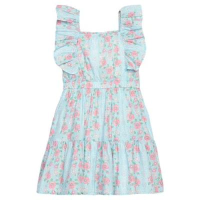 Bisby Babies'  Kids' Floral Brighton Dress In Blue