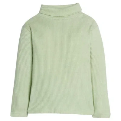 Bisby Babies'  Kids' Ribbed Turtleneck In Pistachio Ice Cream