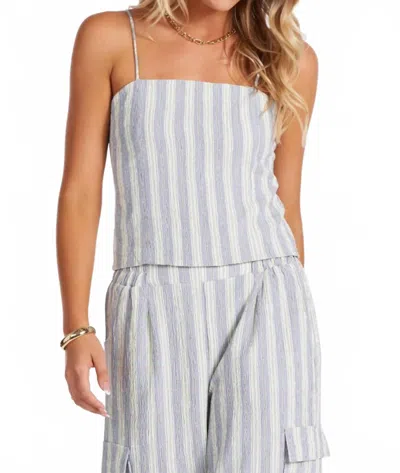 Bishop + Young Coastal Crop Top In Grey Stripe In Blue
