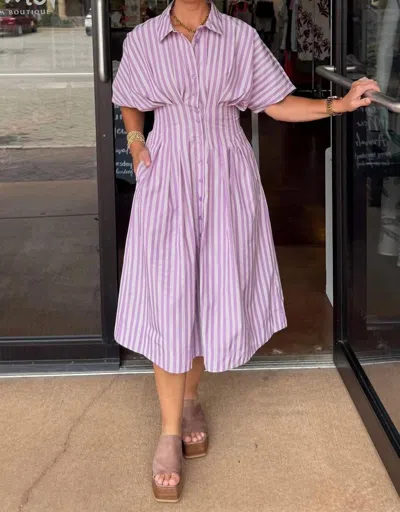 Bishop + Young Maude Waist Detail Shirtdress In Petal Stripe In Multi