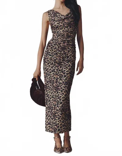 Bishop + Young Natasha Cowl Neck Ruched Midi Dress In Neutral Pattern In Animal Print