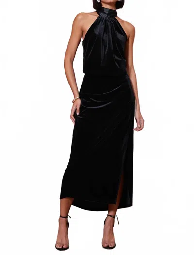 Bishop + Young Luxe Velvet Bubble Hem Halter Top In Black