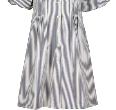 Bishop + Young Women's Jacqueline Bubble Sleeves Dress In Blue Stripe In Animal Print
