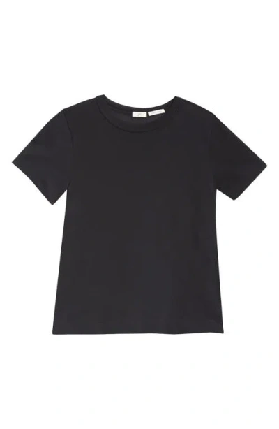 Bite Studios Lumina Sheer Organic Cotton T-shirt In Black