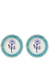 Bitossi Home Botanica Porcelain Set Of Two Plates In Celeste