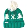 Bits & Bows Evergreen Adult Knit Bobble Hat In Green