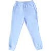 Bits & Bows Jogger Pants In Blue