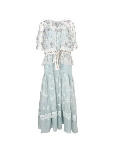 Biyan Gilga Embroidered Tulle Dress In Gray