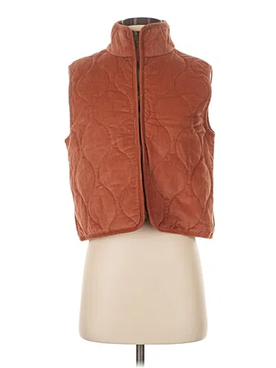 Bke Vest In Brown