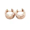 Black And Wild Women's Rose Gold Adel Rose Earring In Gold