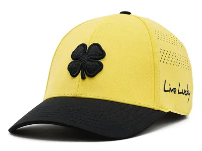 Black Clover : Sm/md In Yellow
