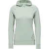 Black Diamond Alpenglow Hooded Long-sleeve Shirt In Green