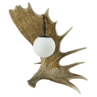 Pre-owned Black Forest Mid-century Antler Table Lamp, Fallow Deer,  Style, 1950s