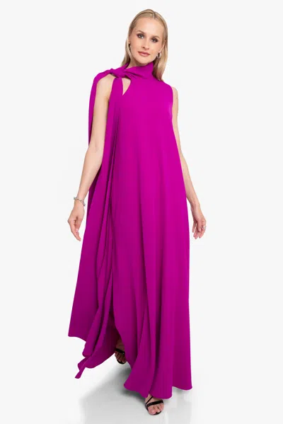 Black Halo Henna Gown In Pink
