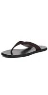 Black Suede Studio Bae Flip Flop Sandal In Brown