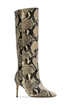 Black Suede Studio Friday 80 Pointed Toe Knee High Boot In Neutrals