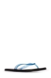 Black Suede Studio Jeli Flip Flop In Blue Pvc