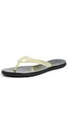 Black Suede Studio Jeli Sandals Butter Pvc In Butter Pvc