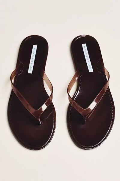Black Suede Studio Jelly Thong Sandals In Brown