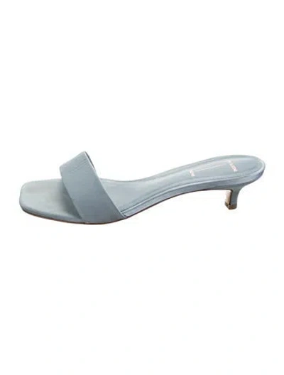 Pre-owned Black Suede Studio Leather Slides In Blue