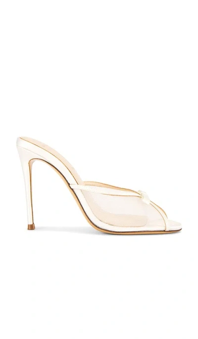 Black Suede Studio Sammie 100 Mule In Multi