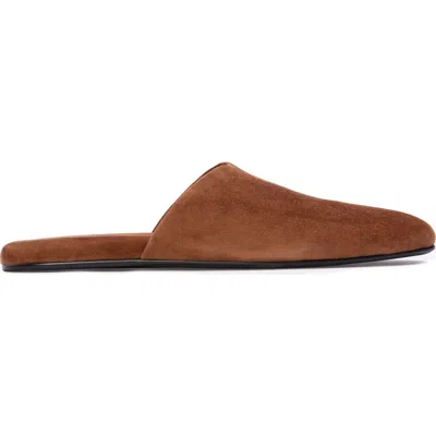 Black Suede Studio Shiloh Mule In Brown