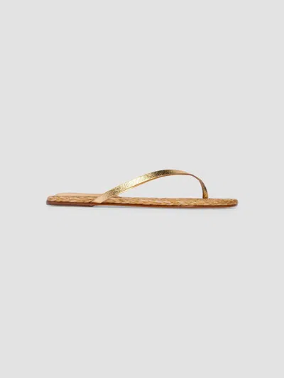 Black Suede Studio Alaya Sandal In Gold