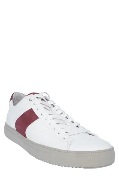 Blackstone Stripe Sneaker