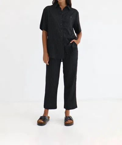 Blanca Genevieve Pants In Black